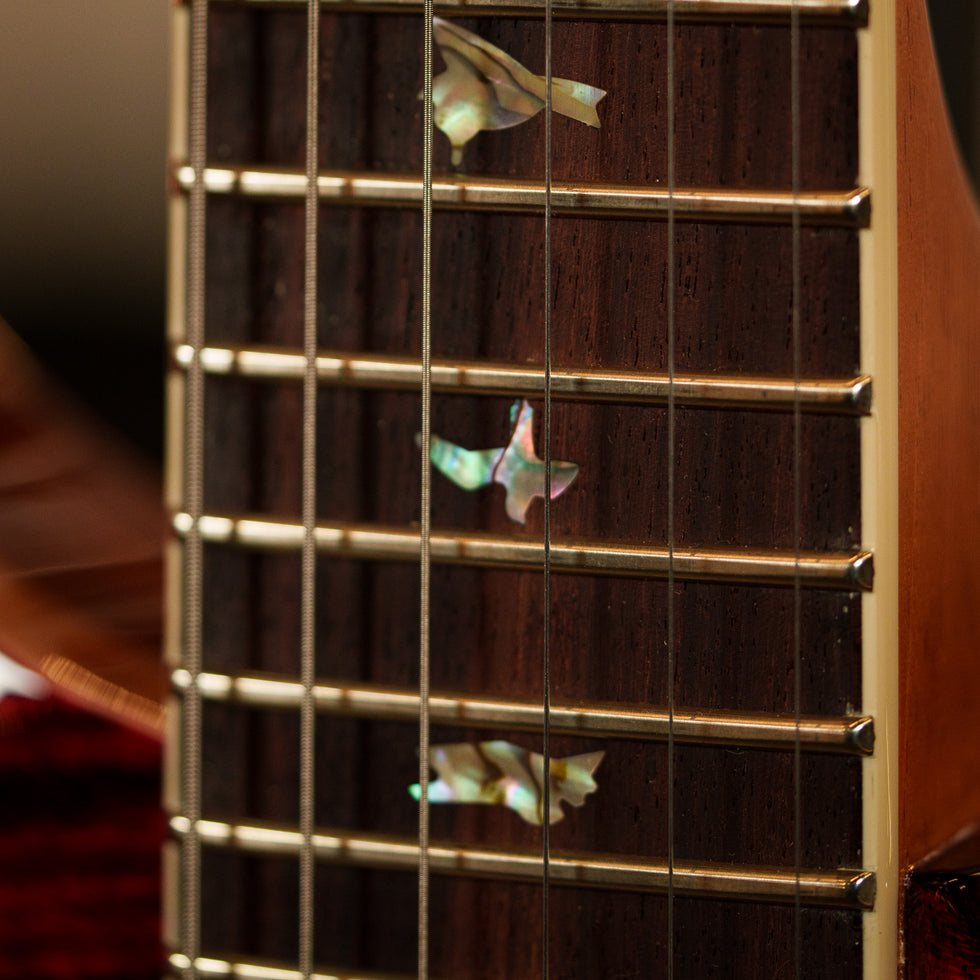 PRS GUITARS – Tarará Music